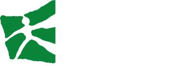 HSG